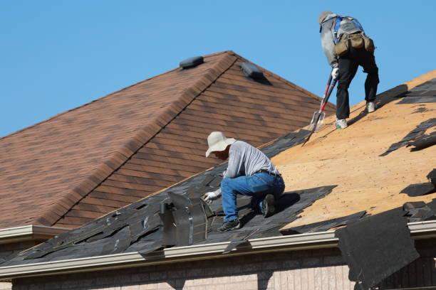 Best Roofing for New Construction  in Geneva, IL